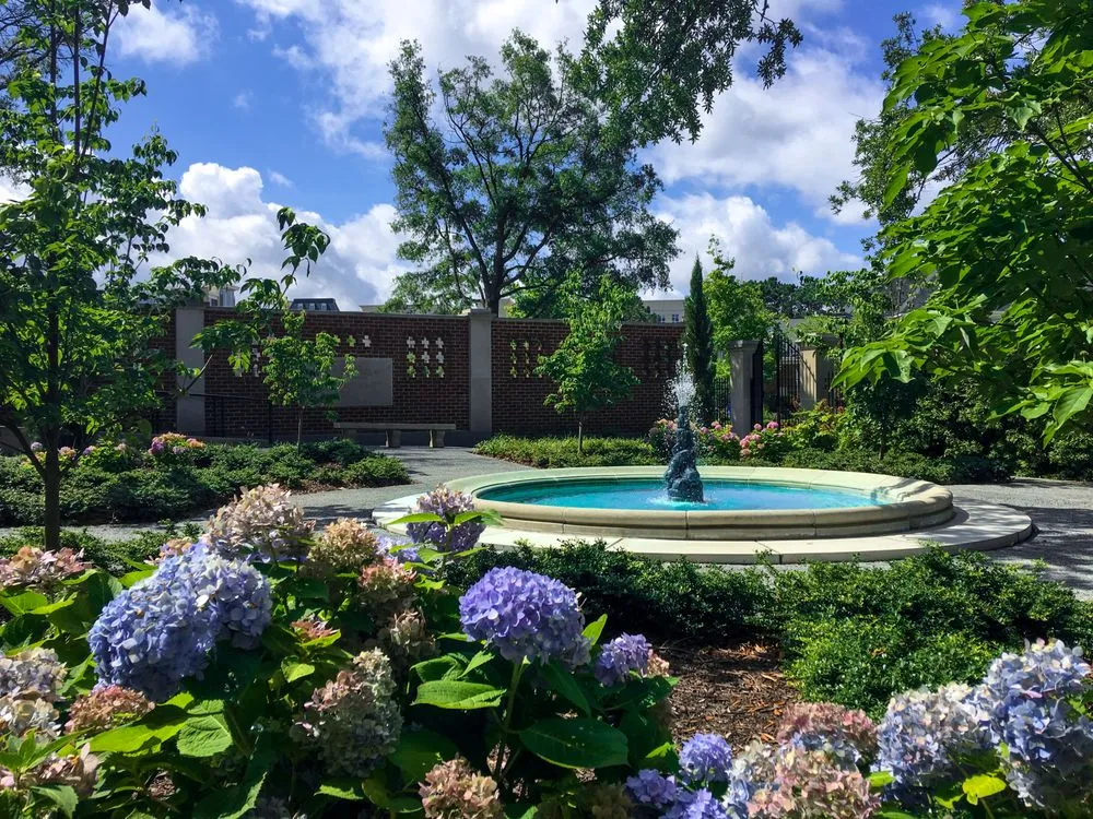 Professional lawn care service in Chesapeake, VA by Basnight Land & Lawn