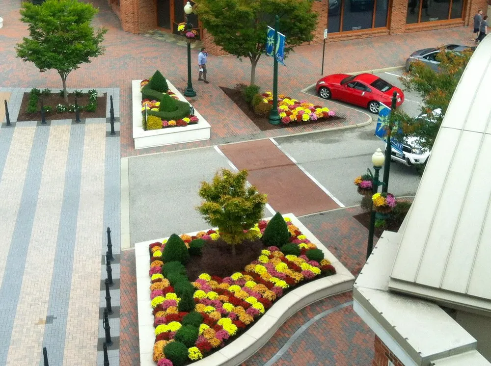 Reliable lawn care service near you across Chesapeake, VA - Basnight Land & Lawn