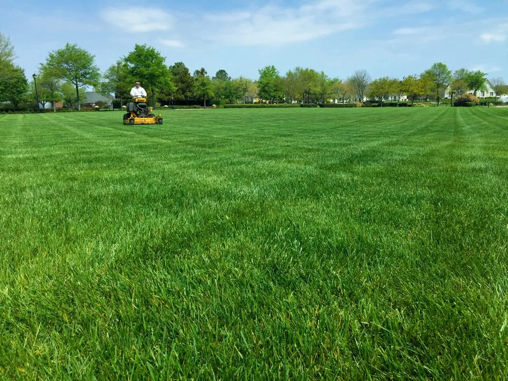 Local landscaping services for outdoor upgrades in Chesapeake, VA by Basnight Land & Lawn