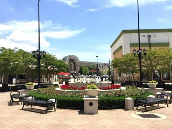 Reliable landscaping services for beautiful yards across Chesapeake, VA - Basnight Land & Lawn