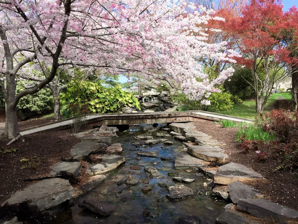 Affordable yard maintenance for outdoor upgrades across Chesapeake, VA - Basnight Land & Lawn