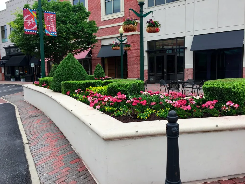 Professional yard cleanup service with custom design across Chesapeake, VA - Basnight Land & Lawn