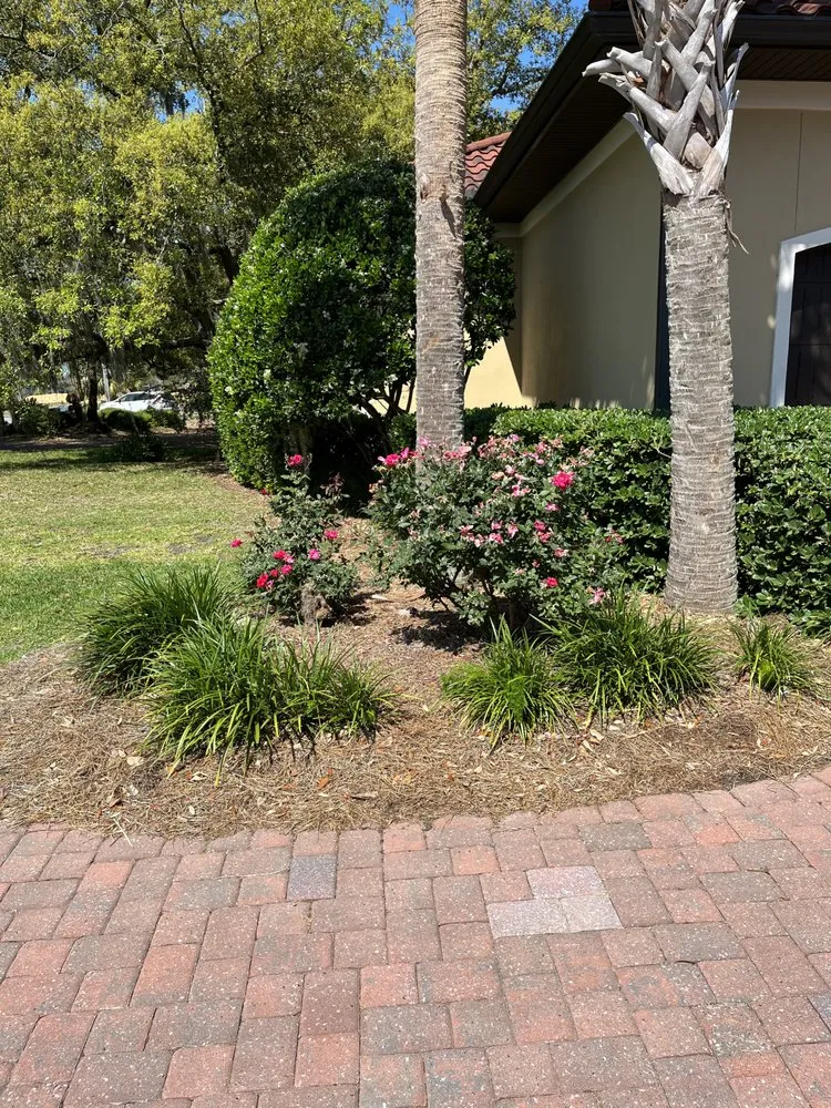 Trusted landscaping services near you in Panama City, FL by Bass Building and Outdoor Services