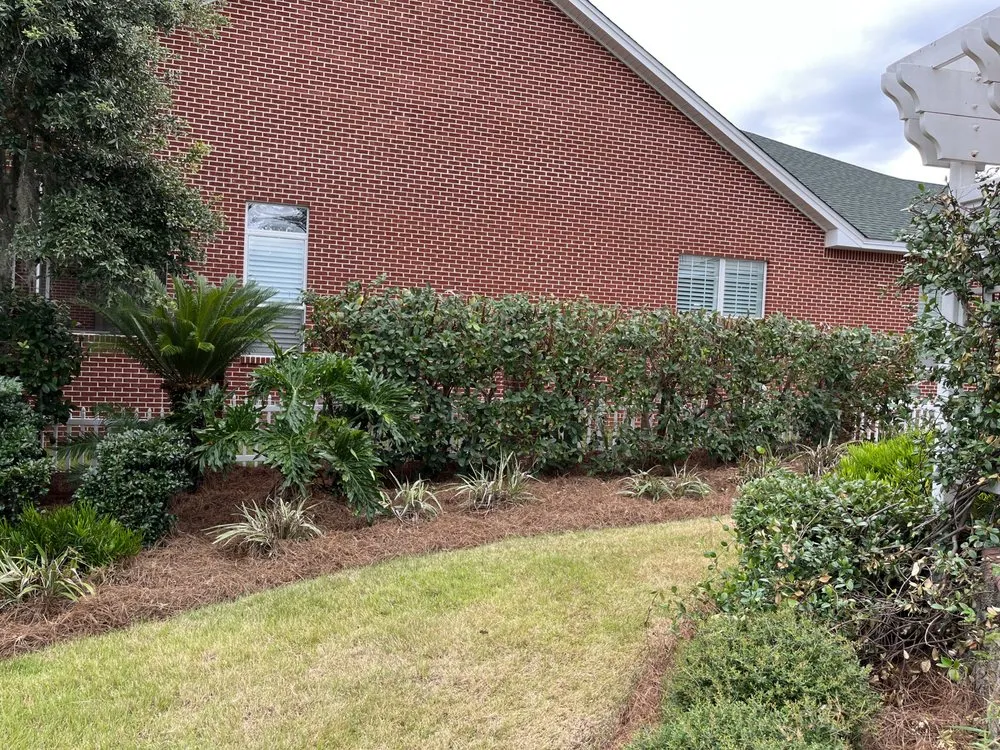 Professional lawn care service near you in Panama City, FL by Bass Building and Outdoor Services