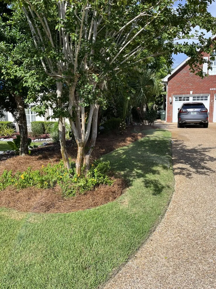 Top-rated lawn mowing service in Panama City, FL by Bass Building and Outdoor Services