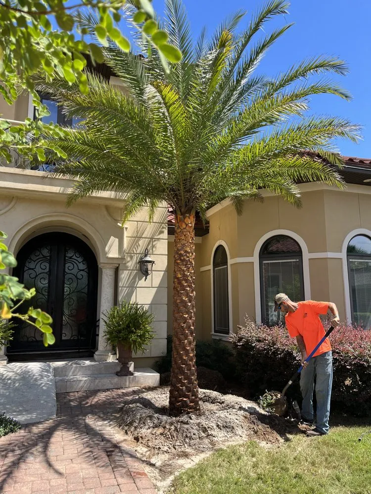 Reliable landscape installation in Panama City, FL - Bass Building and Outdoor Services