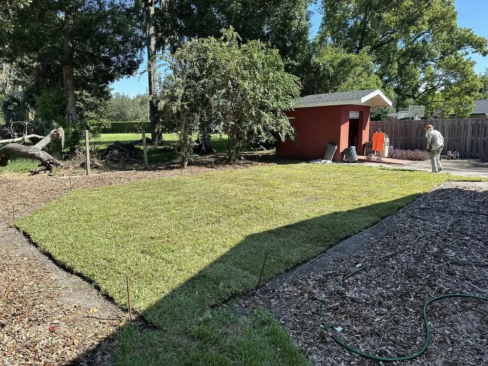 Top-rated lawn care service experts serving Jacksonville, FL - Bass Professional Services