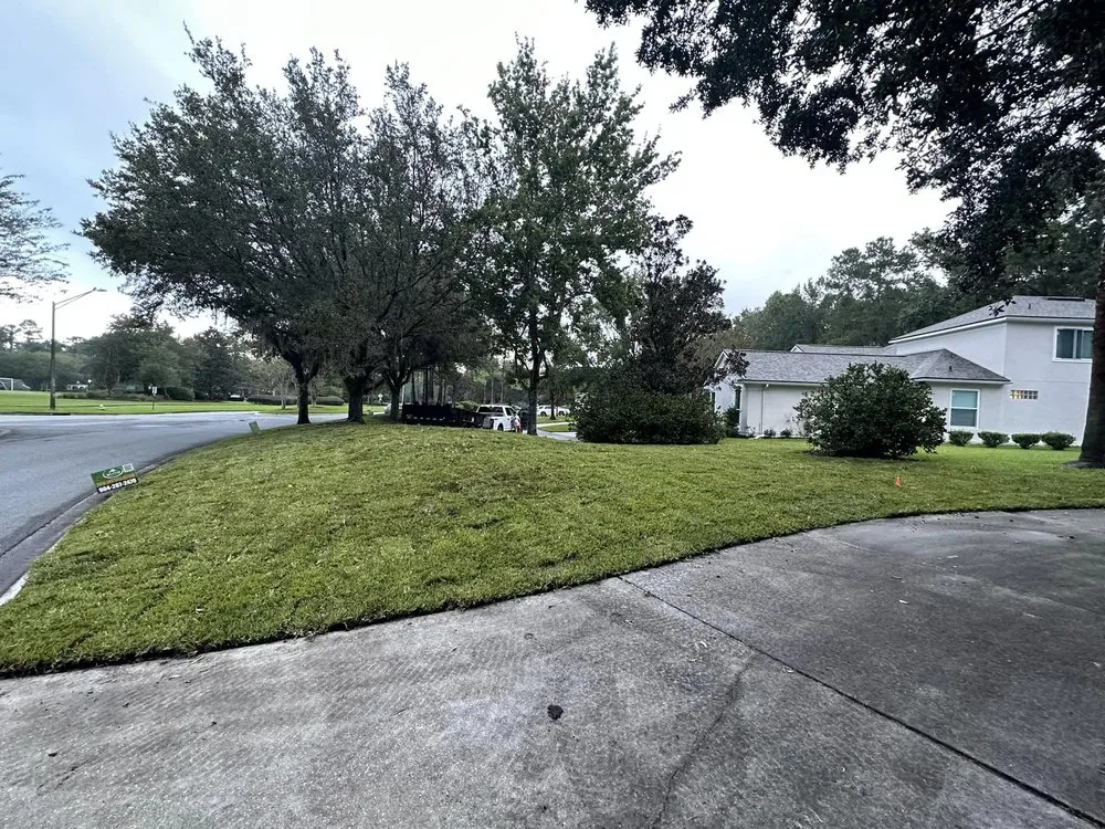 Professional yard maintenance in Jacksonville, FL by Bass Professional Services