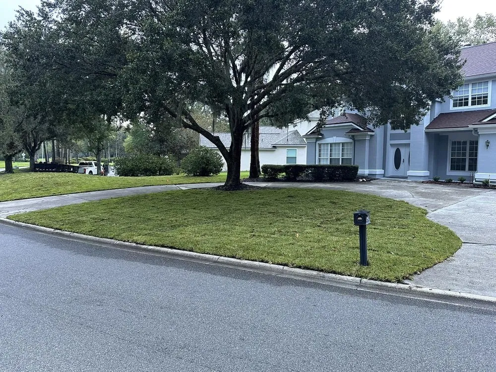 Professional outdoor landscaping in Jacksonville, FL by Bass Professional Services