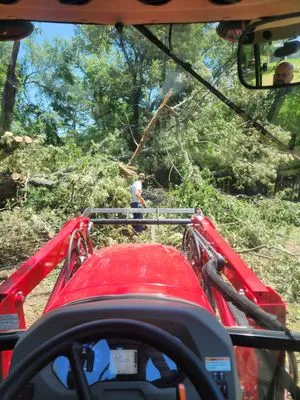 Basset Meadows Mowing