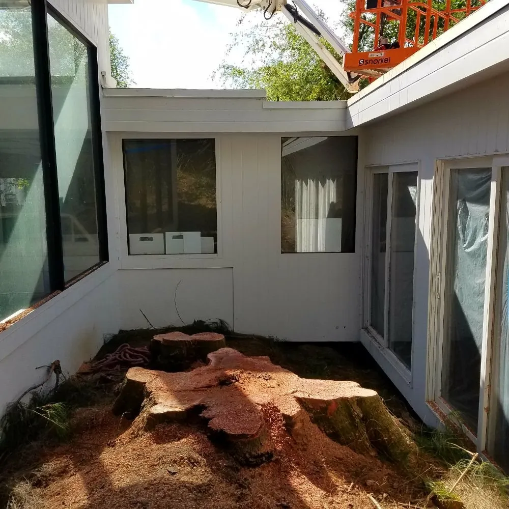 Trusted landscaping services in Hilo, HI by Bassett Tree Service