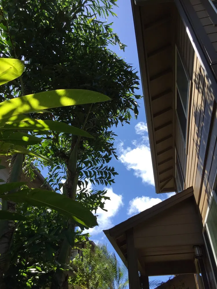 Professional outdoor landscaping for residential properties in Hilo, HI by Bassett Tree Service