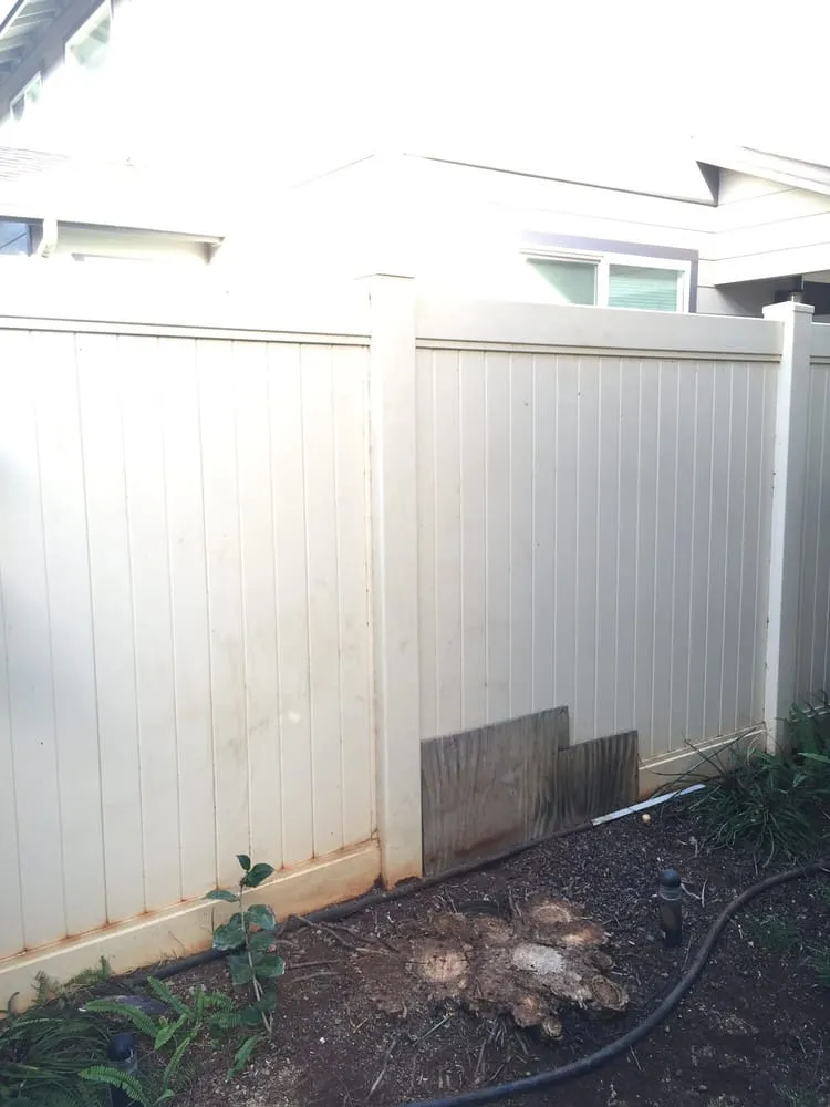 Custom landscaping services for residential properties in Hilo, HI by Bassett Tree Service