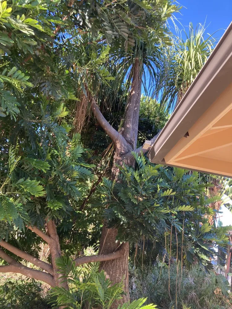 Professional residential landscaping in Hilo, HI - Bassett Tree Service