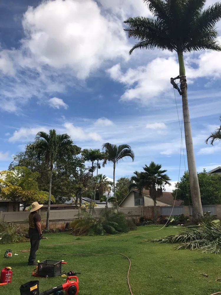 Top-rated landscaping services in Hilo, HI by Bassett Tree Service