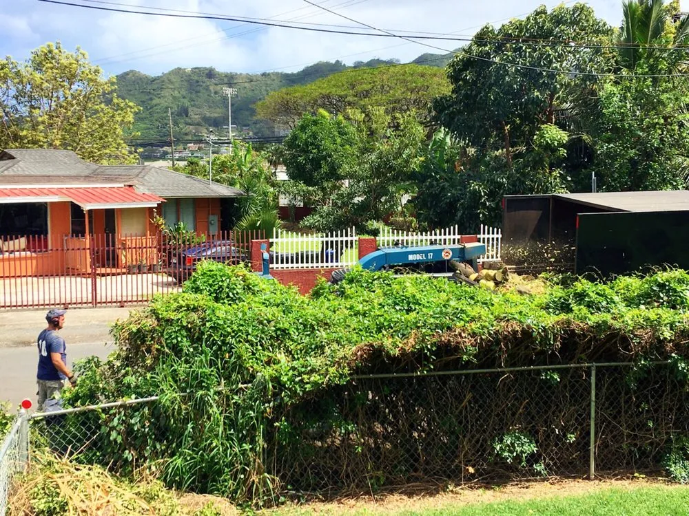 Reliable landscape design for outdoor upgrades across Hilo, HI - Bassett Tree Service