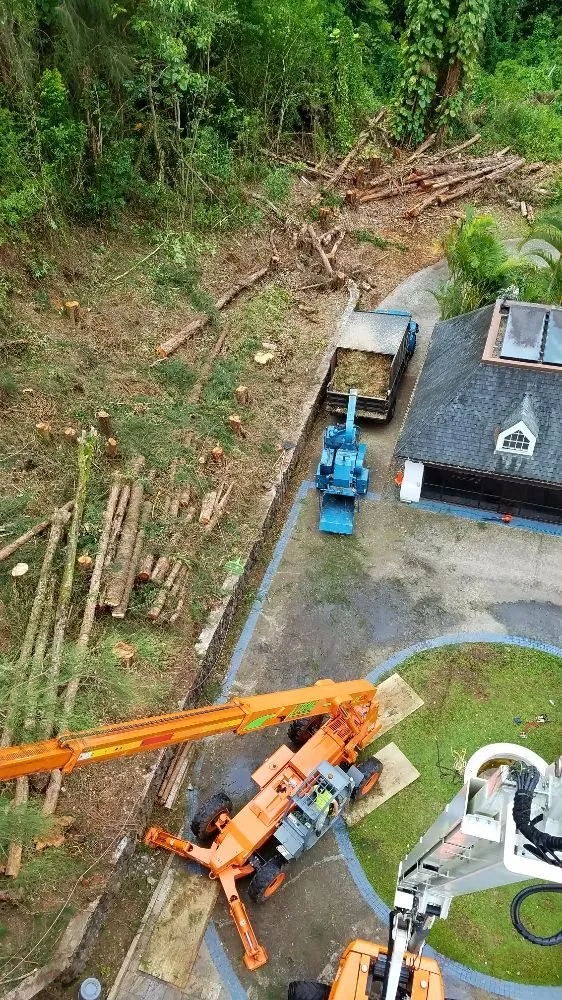 Affordable outdoor landscaping experts serving Hilo, HI - Bassett Tree Service
