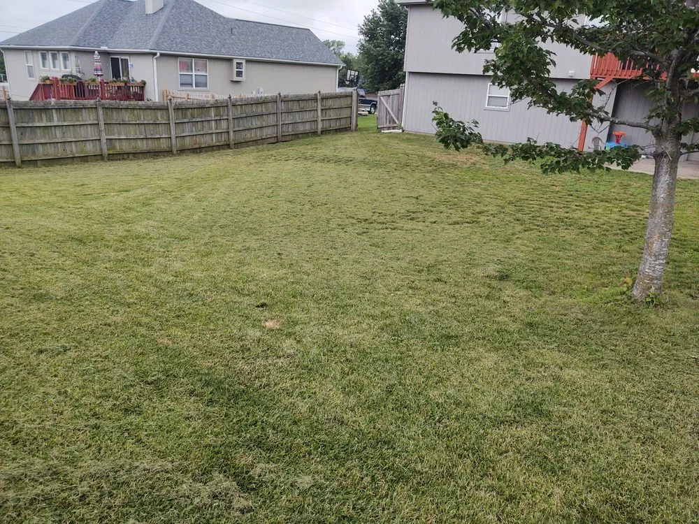 Professional outdoor landscaping experts serving Independence, MO - Bassett's Lawn Care