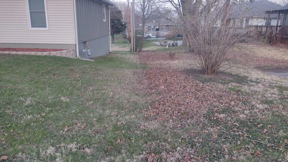 Expert landscape installation in Independence, MO by Bassett's Lawn Care