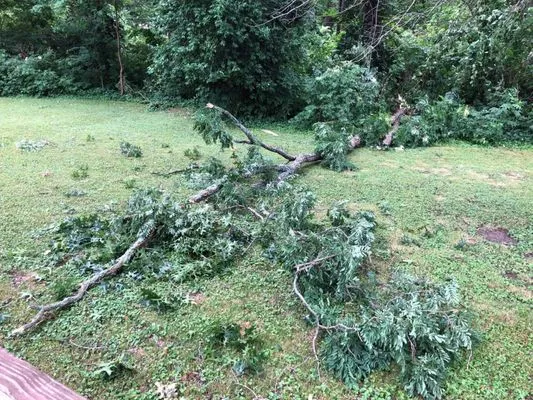 Bassett's Lawn Care Logo