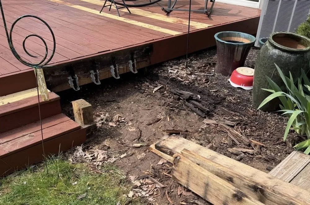 Affordable yard cleanup service for residential properties across Kokomo, IN - Bassline Property Managment