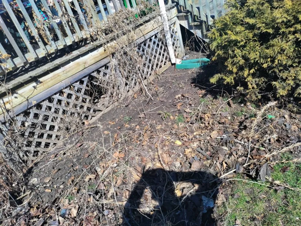 Affordable residential landscaping for year-round maintenance in Bay City, MI by Bastian's lawncare and landscaping