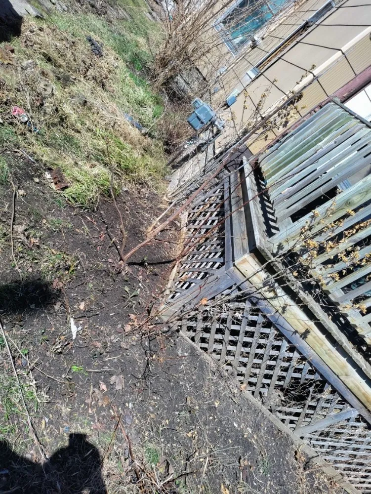 Expert landscape design with custom design across Bay City, MI - Bastian's lawncare and landscaping