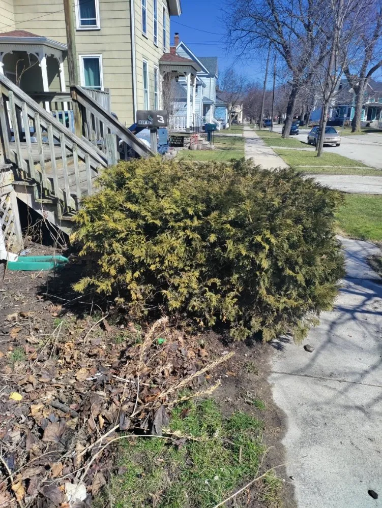 Expert garden landscaping experts serving Bay City, MI - Bastian's lawncare and landscaping