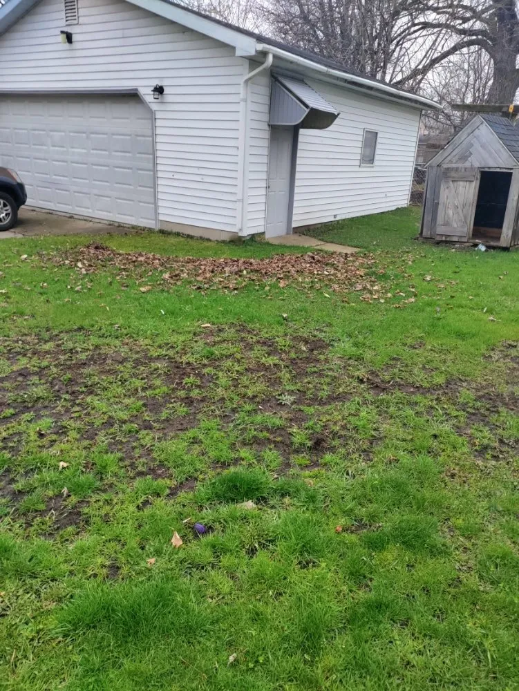 Expert yard cleanup service for residential properties in Bay City, MI by Bastian's lawncare and landscaping