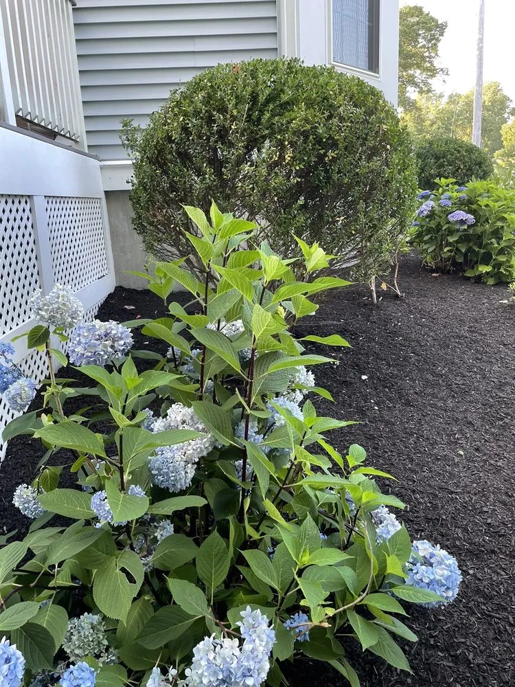 Affordable landscape installation for beautiful yards across Bellingham, MA - Bastiao Landscaping & Snowplowing