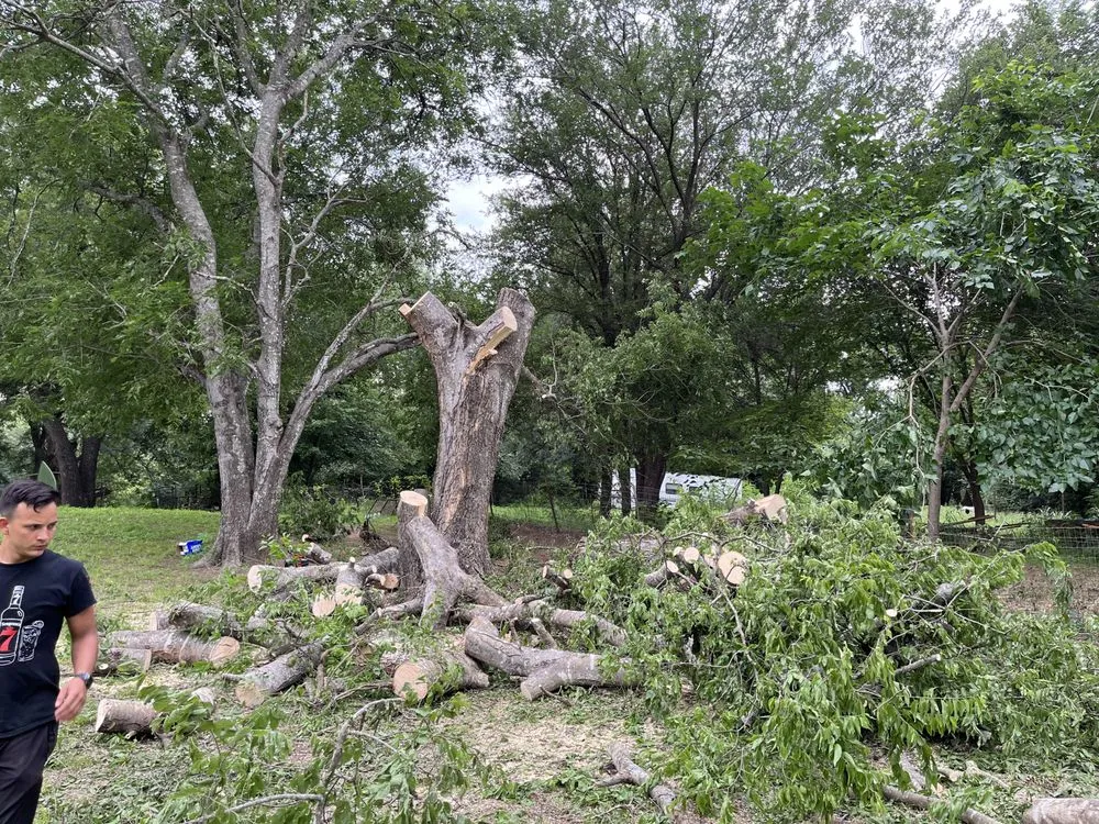 Expert landscape installation for residential properties in Fort Worth, TX by Bastidas Landscaping