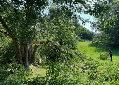 Expert yard cleanup service near you across Fort Worth, TX - Bastidas Landscaping