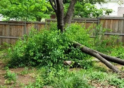 Custom lawn care service in Fort Worth, TX by Bastidas Landscaping