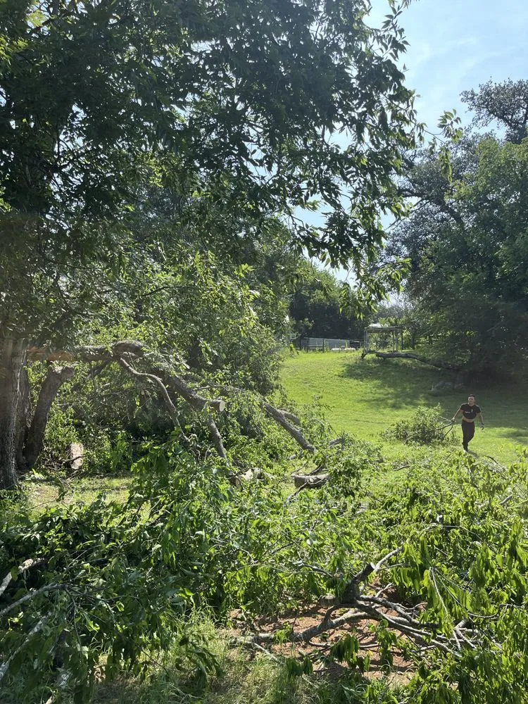 Reliable landscape installation for year-round maintenance across Fort Worth, TX - Bastidas Landscaping