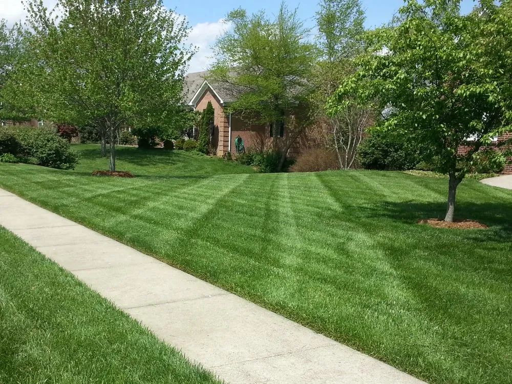 Professional yard cleanup service in Shelbyville, KY by Bastin Turf