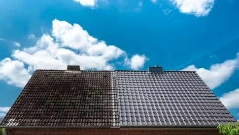 Local lawn care service in West Side Highway, WA - Bastin's Outdoor Services