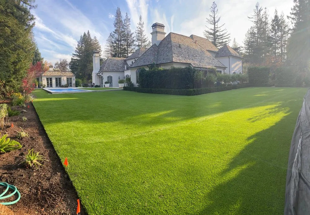 Custom lawn care service in San Carlos, CA by Bastion Construction Services