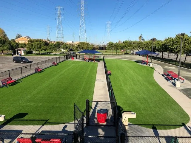 Reliable yard cleanup service for beautiful yards across San Carlos, CA - Bastion Construction Services