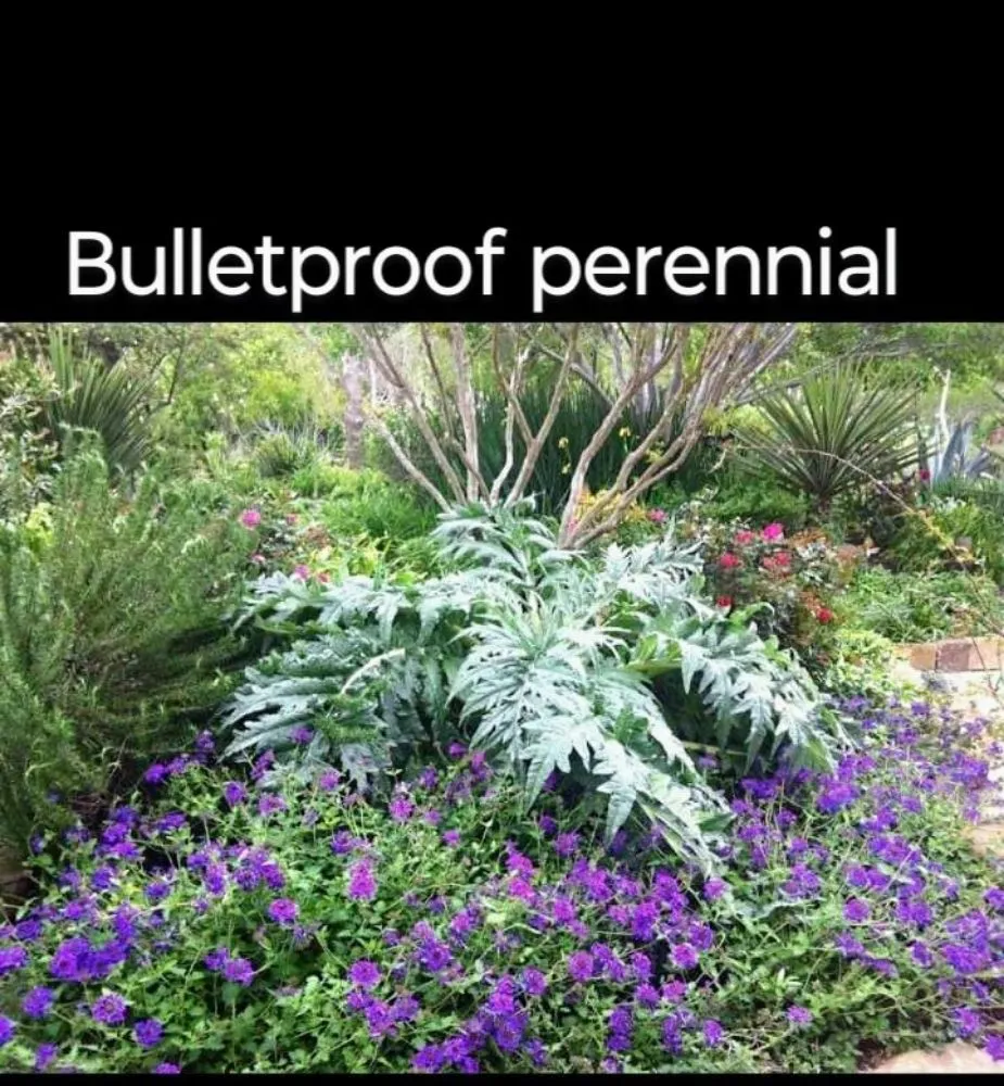 Reliable landscape installation for year-round maintenance across Smithville, TX - Bastrop County landscaping and design