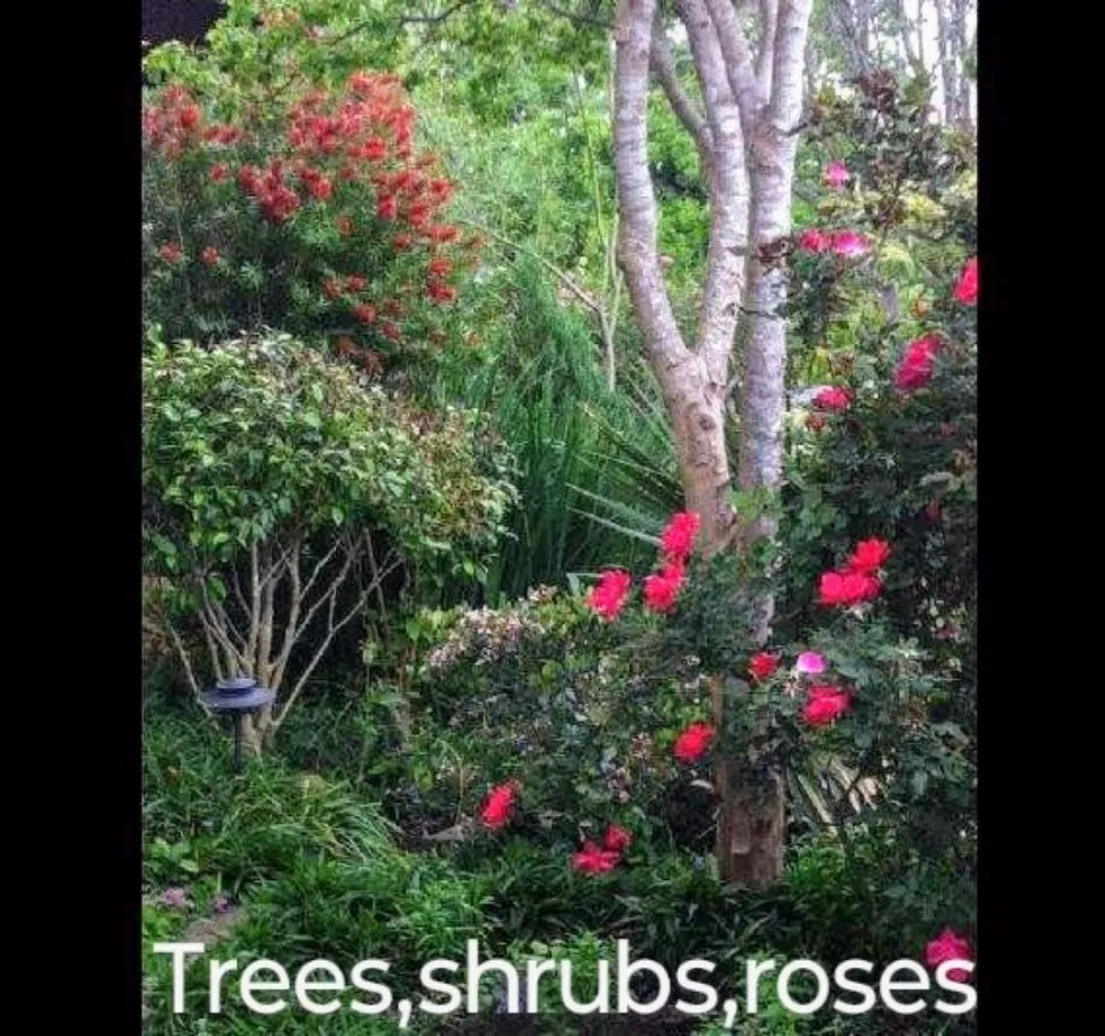 Expert outdoor landscaping in Smithville, TX - Bastrop County landscaping and design