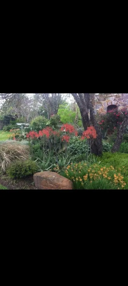 Trusted outdoor landscaping for residential properties in Smithville, TX by Bastrop County landscaping and design