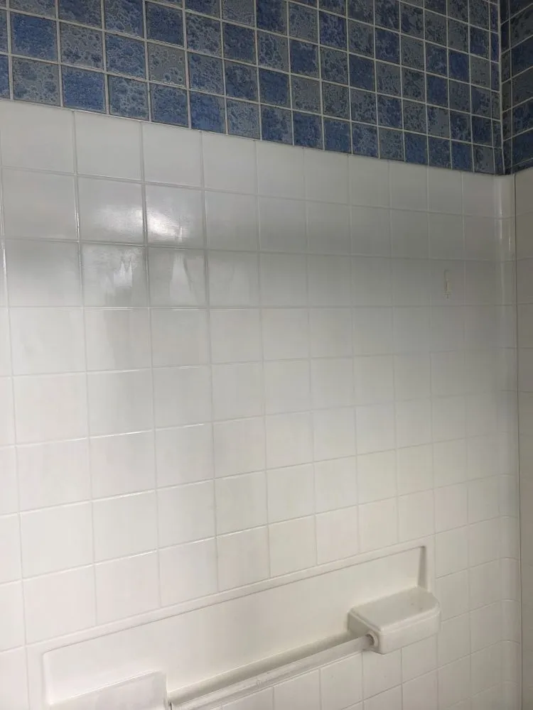 Custom landscape installation for beautiful yards across Albuquerque, NM - Basulto Cleaning