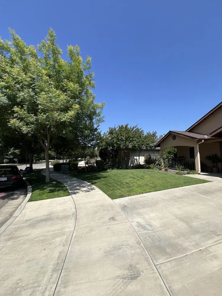 Reliable residential landscaping experts serving Visalia, CA - Basulto’s Lawn Care