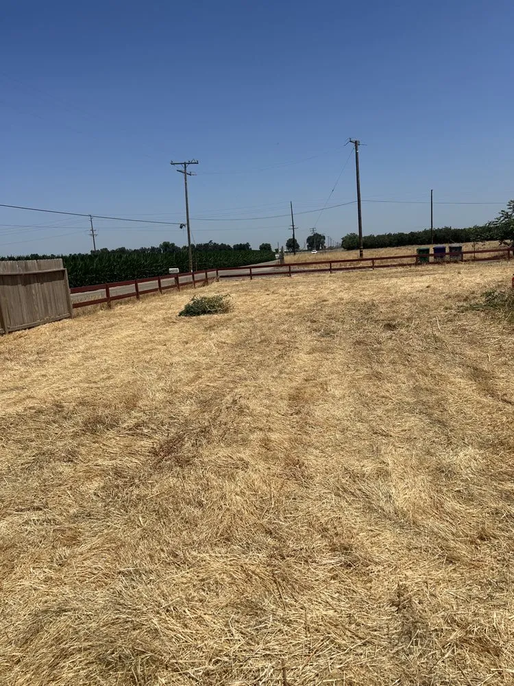 Reliable lawn mowing service for homes in Visalia, CA by Basulto’s Lawn Care