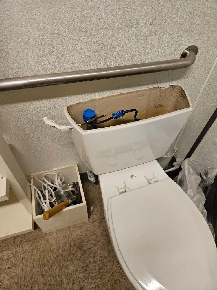 Trusted yard maintenance near you across Woodlawn, IL - BAT Handyman Services