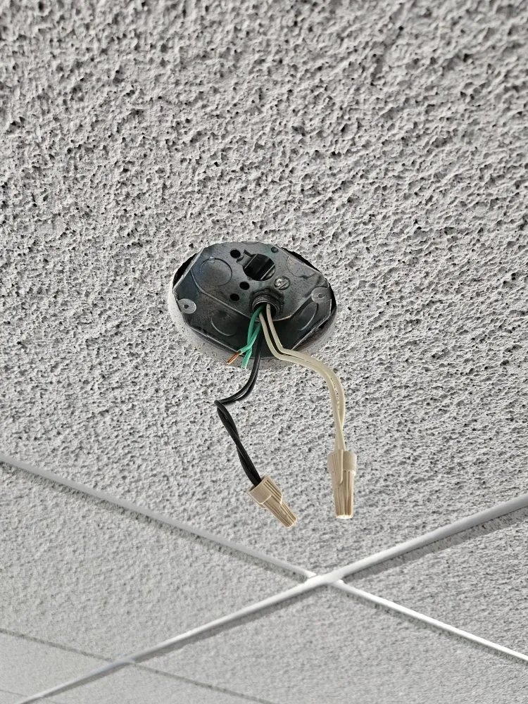 Custom outdoor landscaping for homes across Woodlawn, IL - BAT Handyman Services