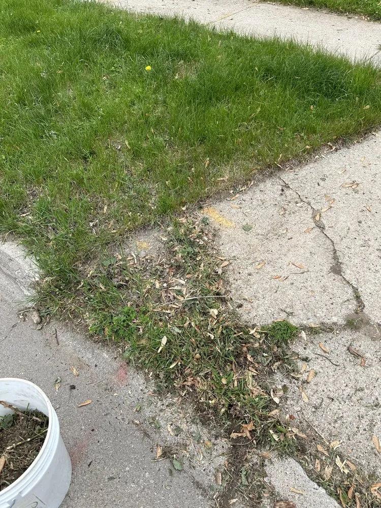 Professional yard maintenance experts serving Green Bay, WI - Batal Lawn Care