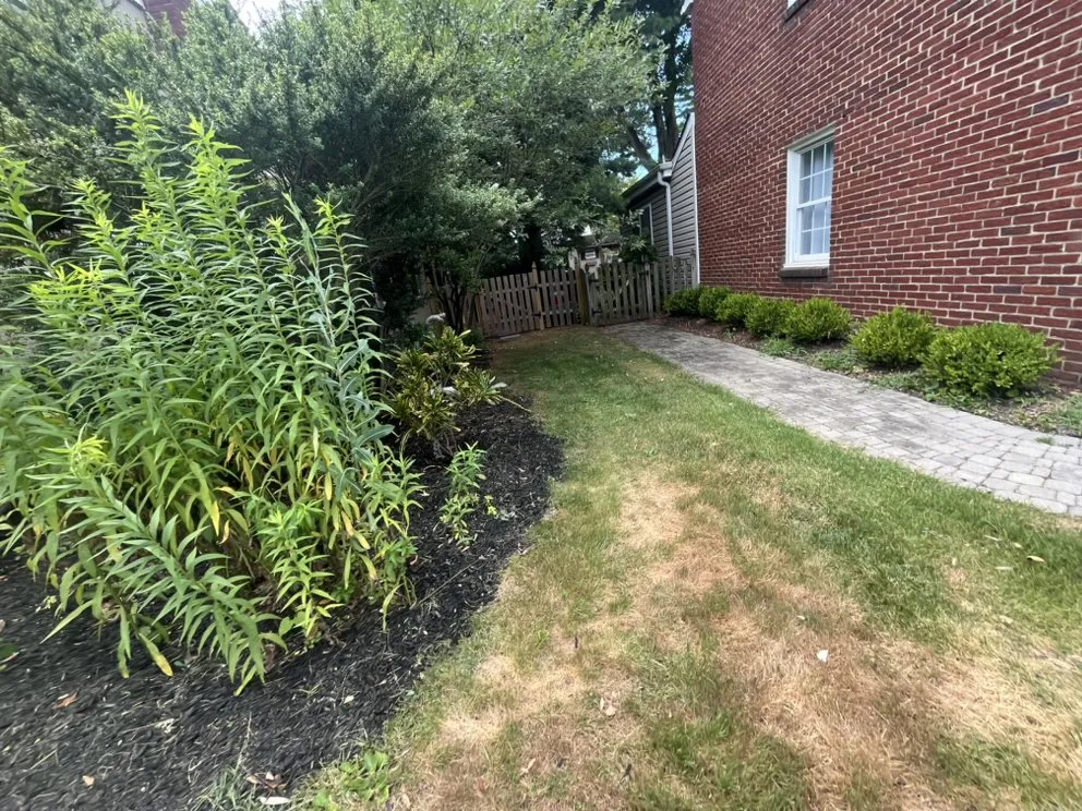 Reliable yard cleanup service for outdoor upgrades across Oaklyn, NJ - Bataloni Lawn Care