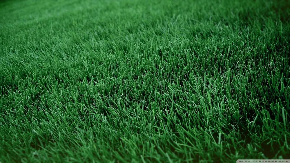 Custom yard cleanup service in Delaware City, DE - Bates Landscaping