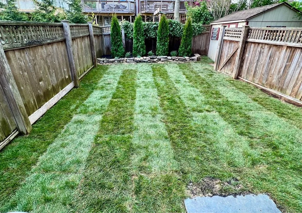 Professional landscape installation in West Chester, PA by Bates Landscaping